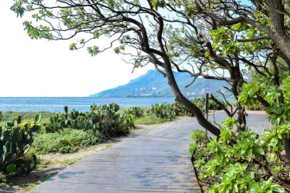 Greenery at Cijin Island